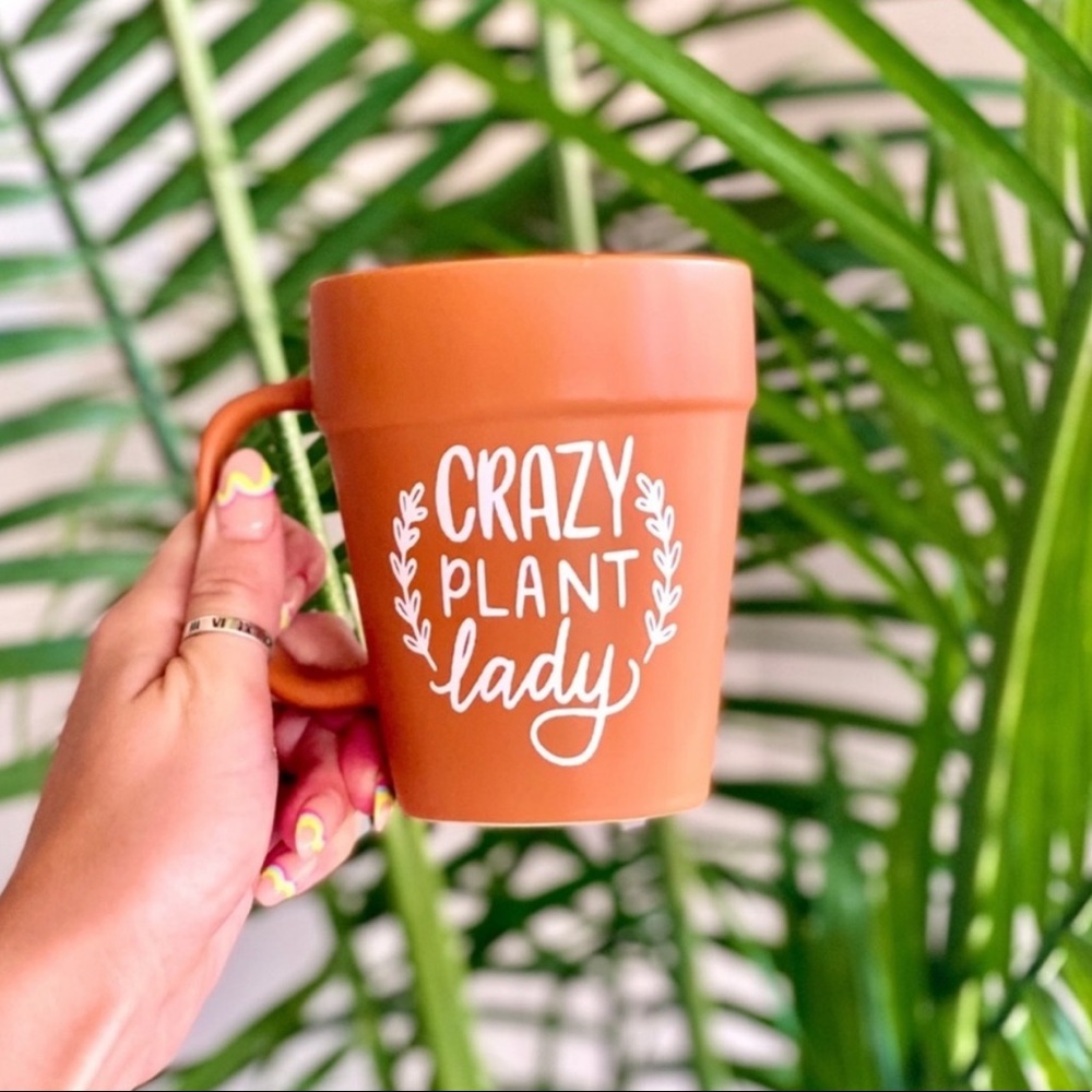 Terracotta Mug